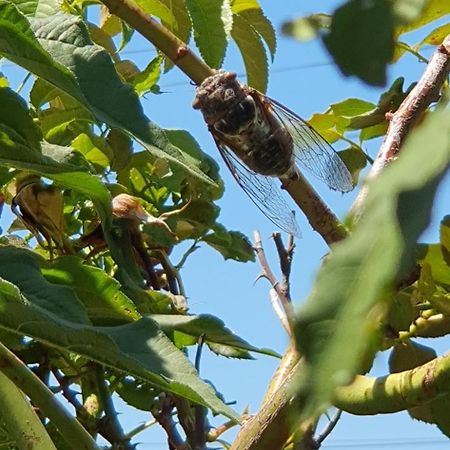 Gite " La Petite Compsoise " Comps  Esterno foto